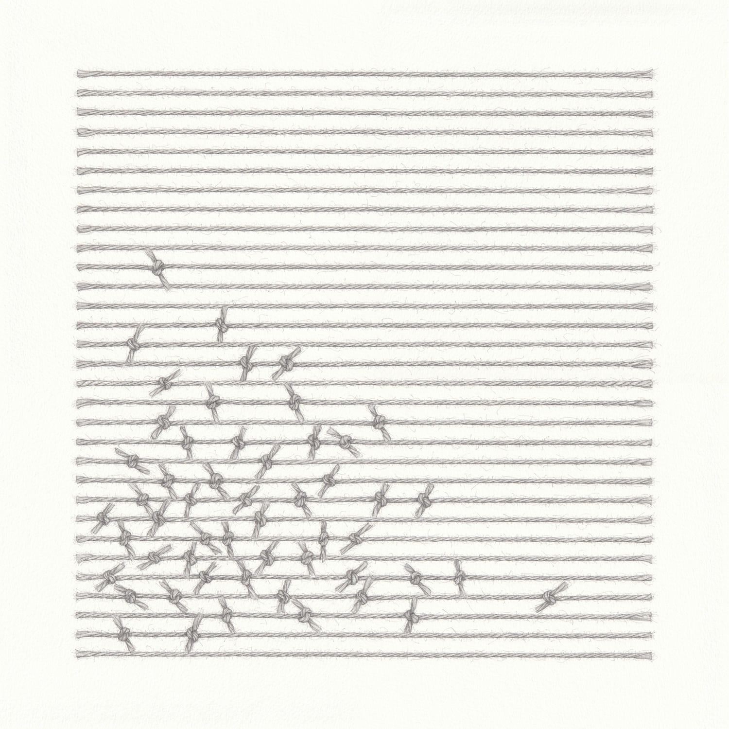Cluster 2 (38 x 38 cm) pencil on paper